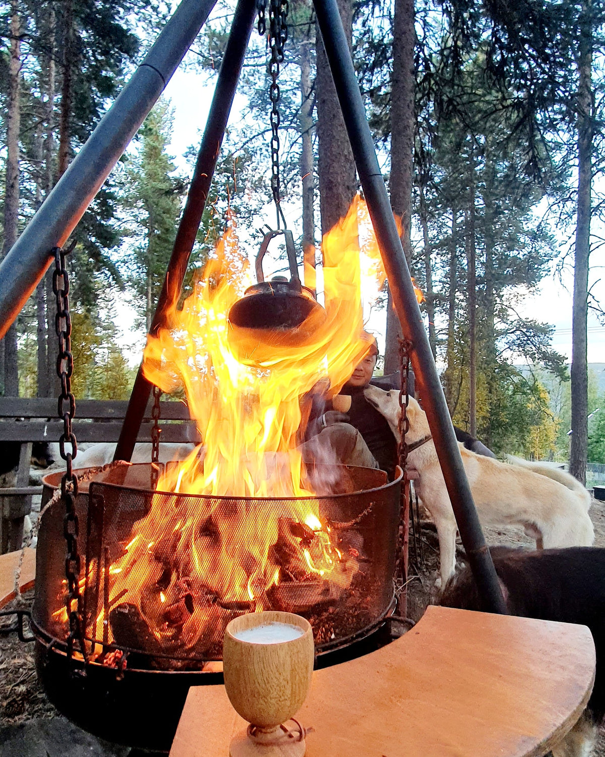 Vinkopp i trä - Øyo