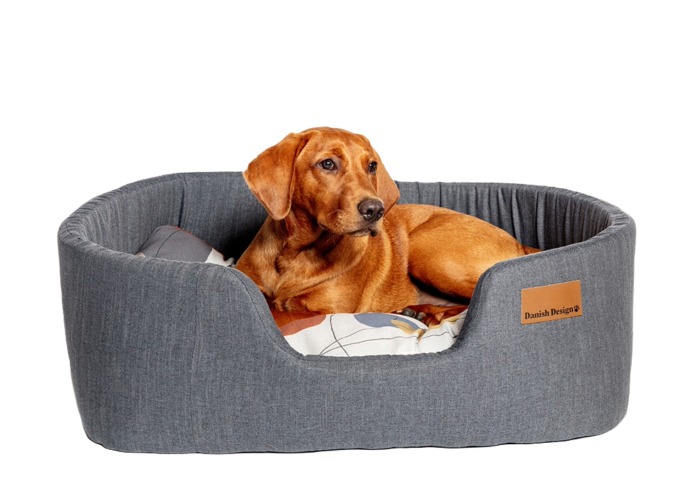 Colour Block Steel Lux Slumber Bed L