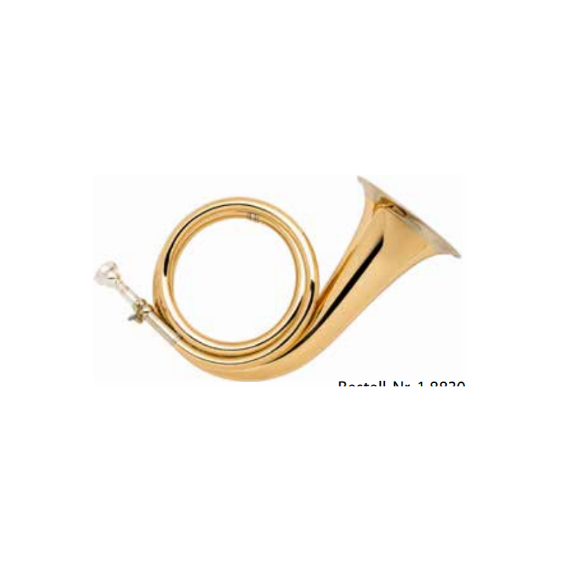 med läderskydd 8830 guld mässing/konsertmodell - Fürst-Plesshorn