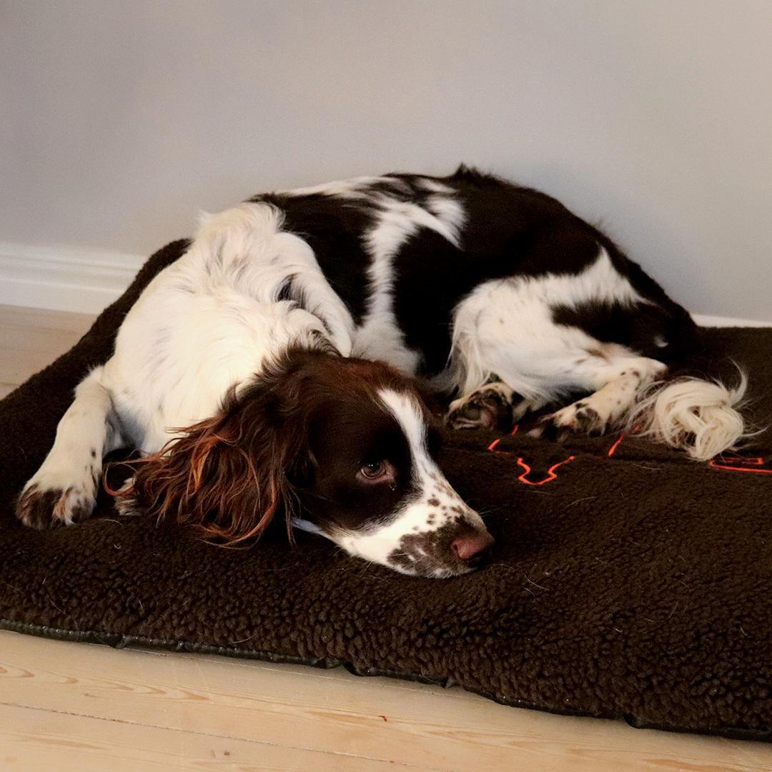 Hundmatta 70x100 cm - Accessory Brown – Swedteam