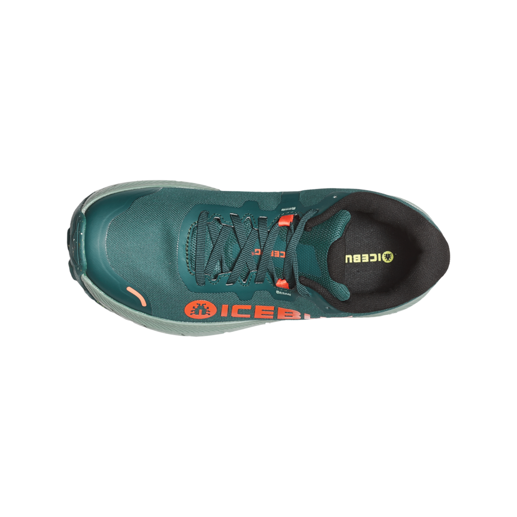 Arcus 2 M Rb9x Gtx – Icebug