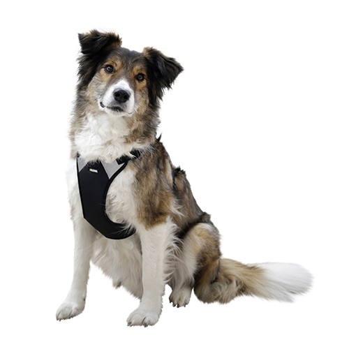 Hundsele Pulsive - Hals 62-85 cm - Bröst 72-96 cm – Kerbl