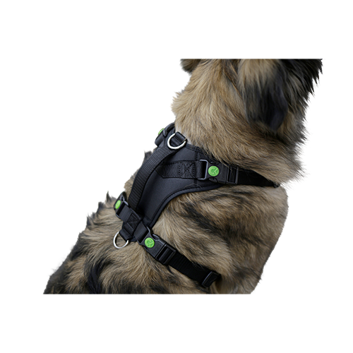 Hundsele Pulsive - Hals 36–50 cm - Bröst 46–60 cm – Kerbl