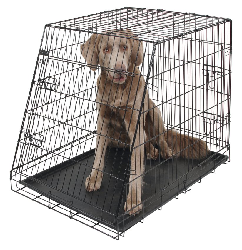 Hundbur i stål, fällbar, sned – 92x63x74 cm – Kerbl