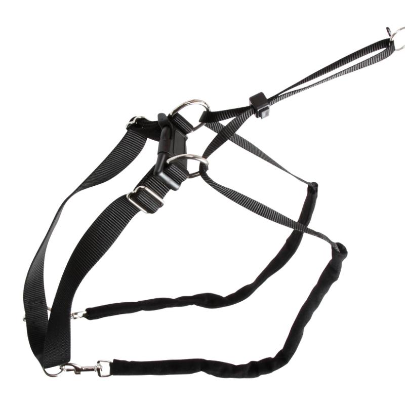 Hundsele Maxi Leader - Hals 30–45 cm – Kerbl