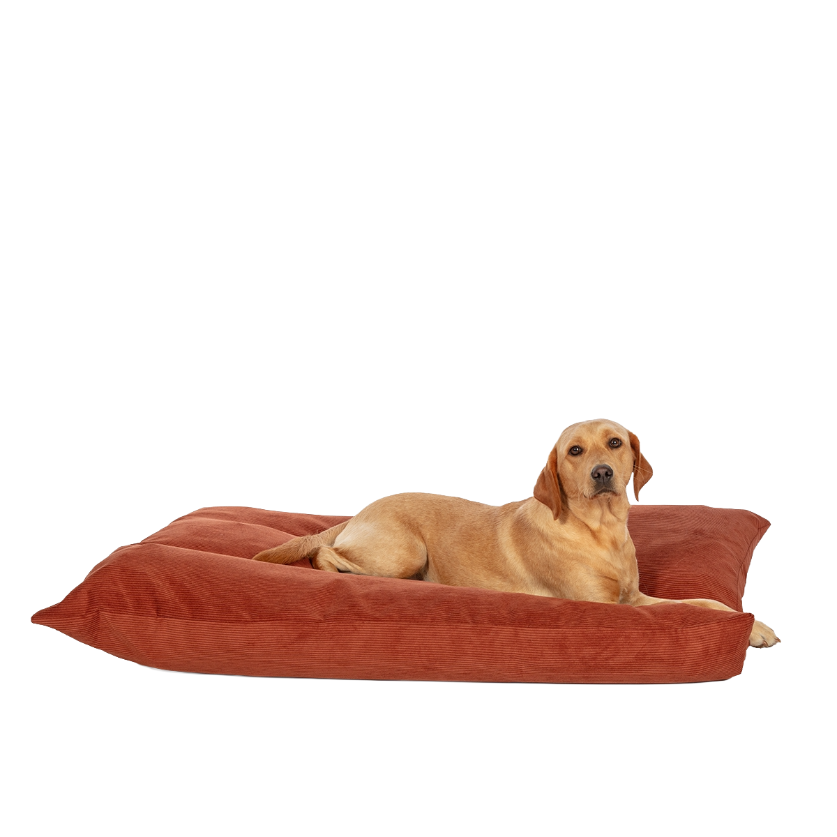 D.D. Elden Rust Deep Duvet L