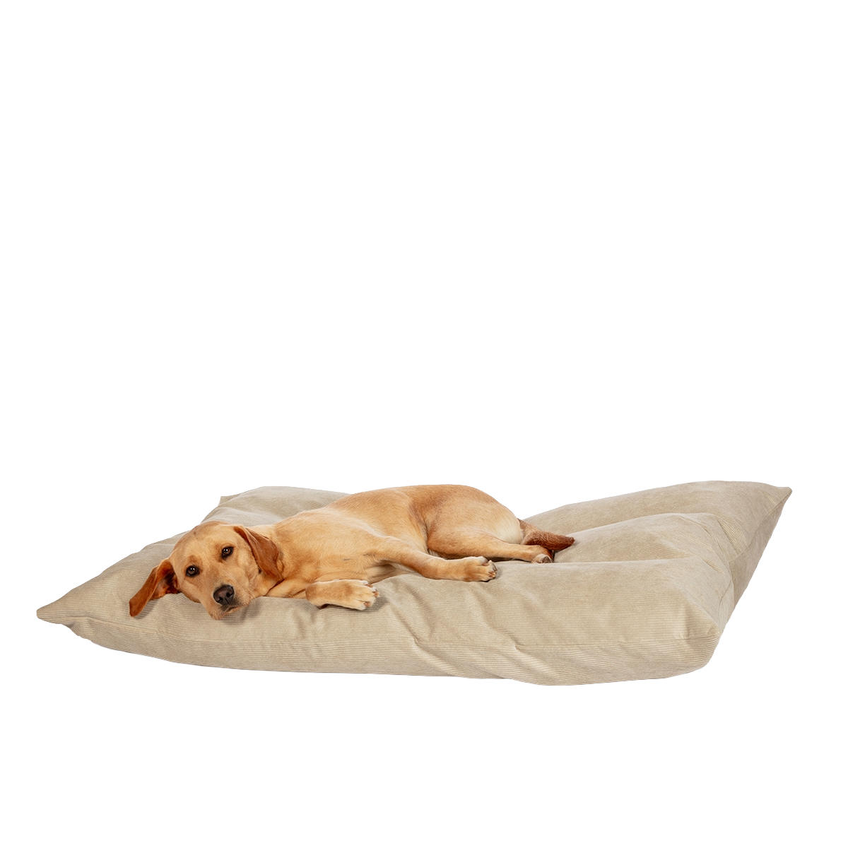 D.D. Elden Stone Deep Duvet L