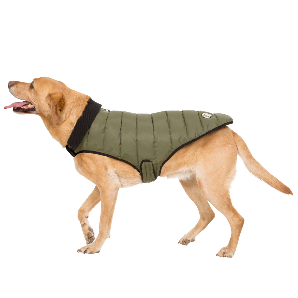 Lloyd - Khaki - Trespass