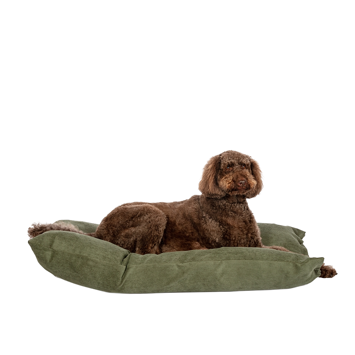 D.D. Elden Fern Deep Duvet M