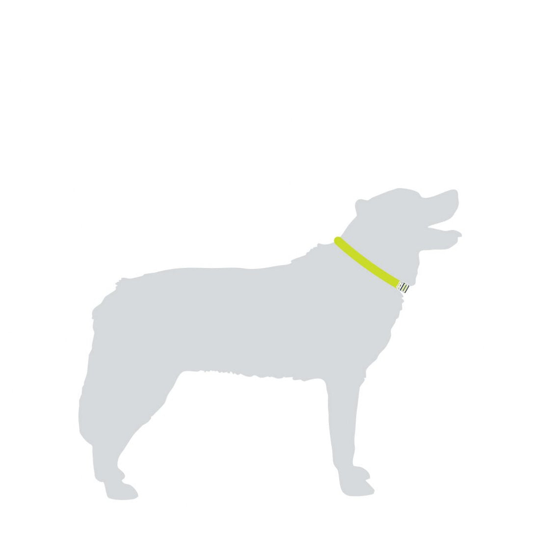 Hundhalsband Medium Svart – Mountain Paws