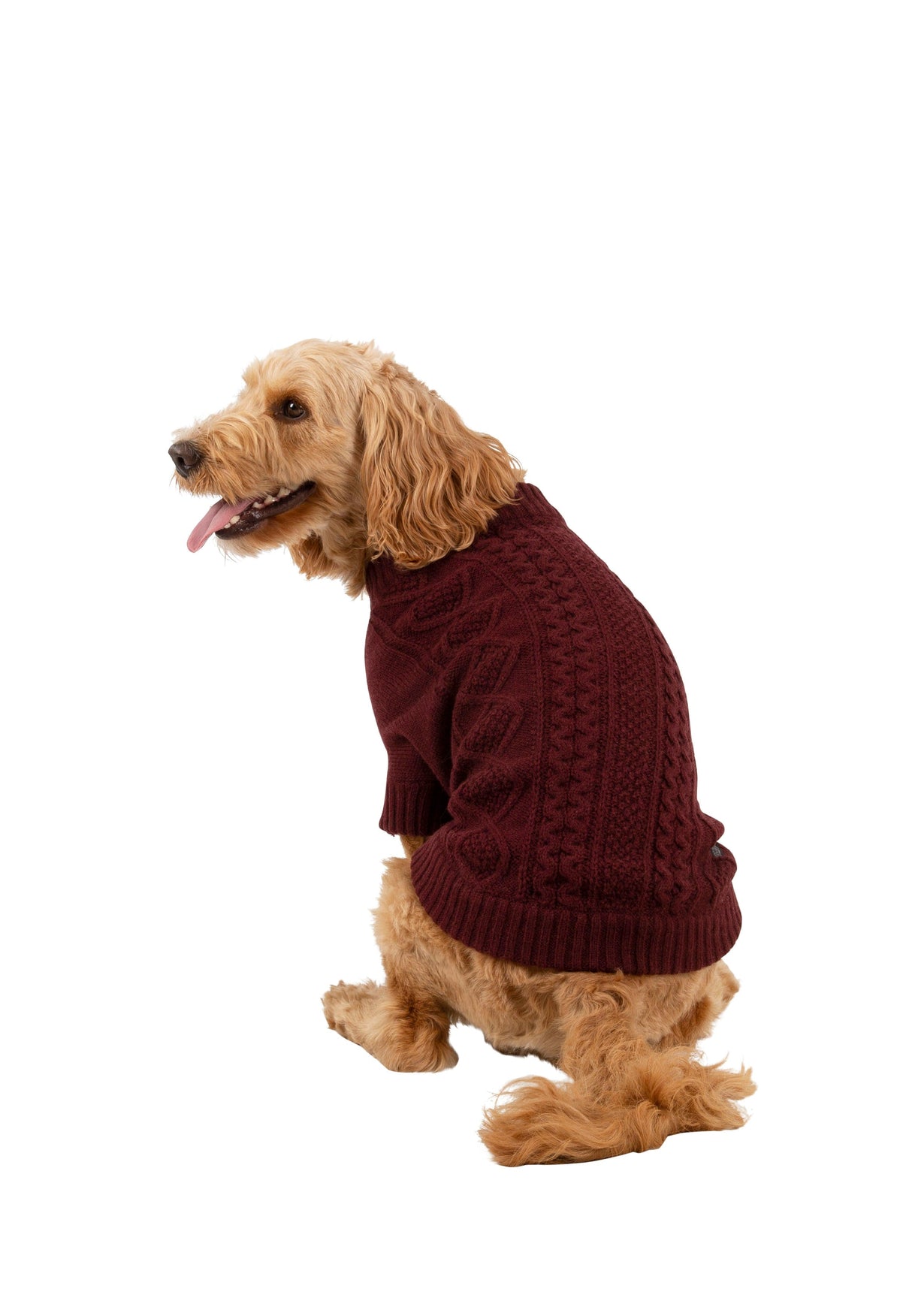 Snowhound - Merlot - Trespass