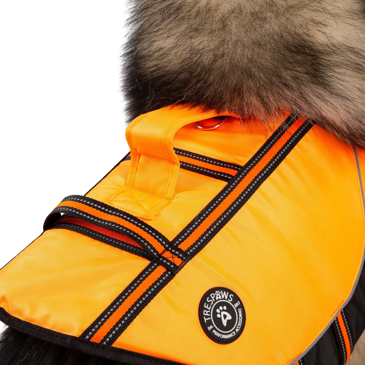 Surfdog - High Vis - Trespass