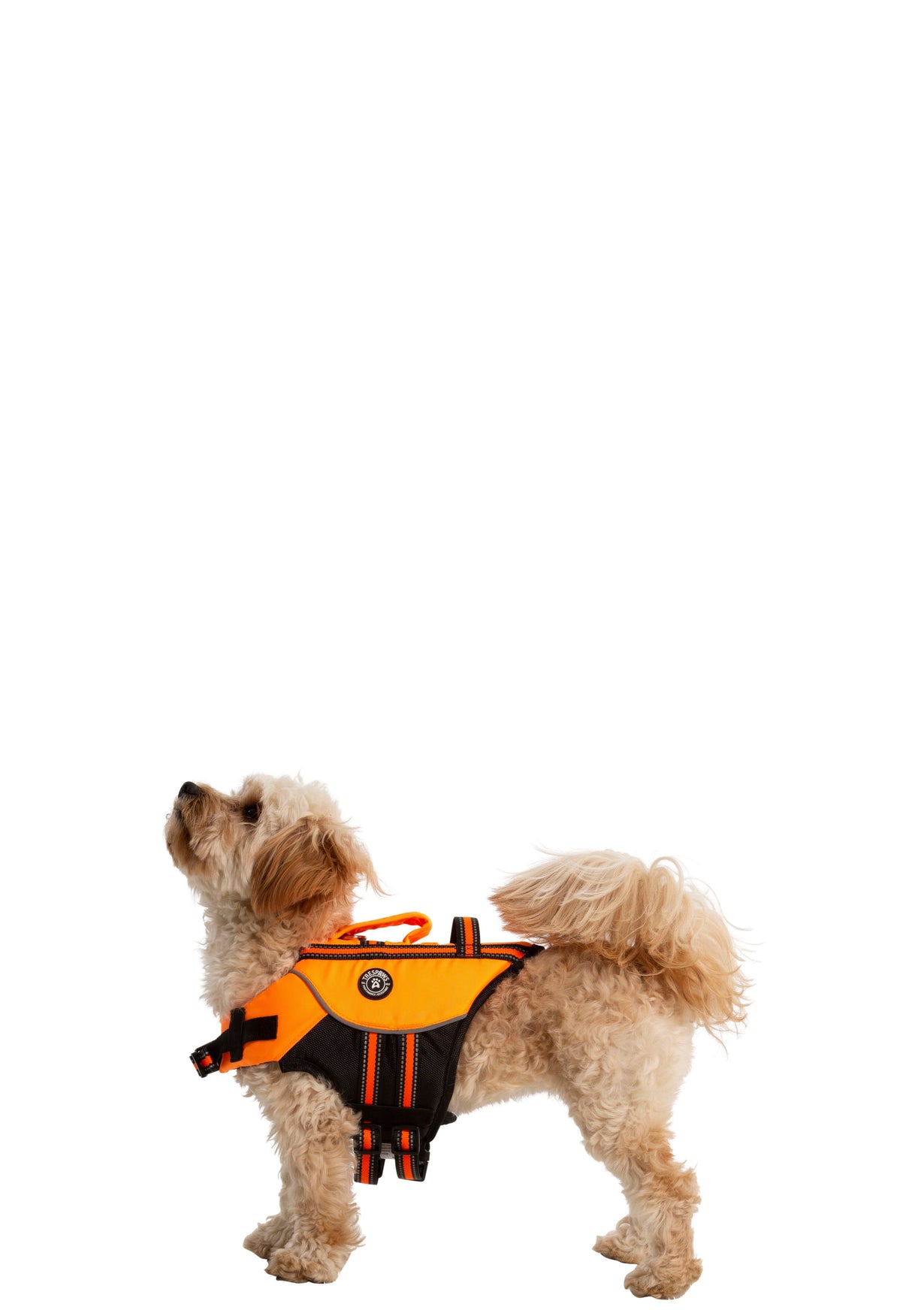 Surfdog - High Vis - Trespass