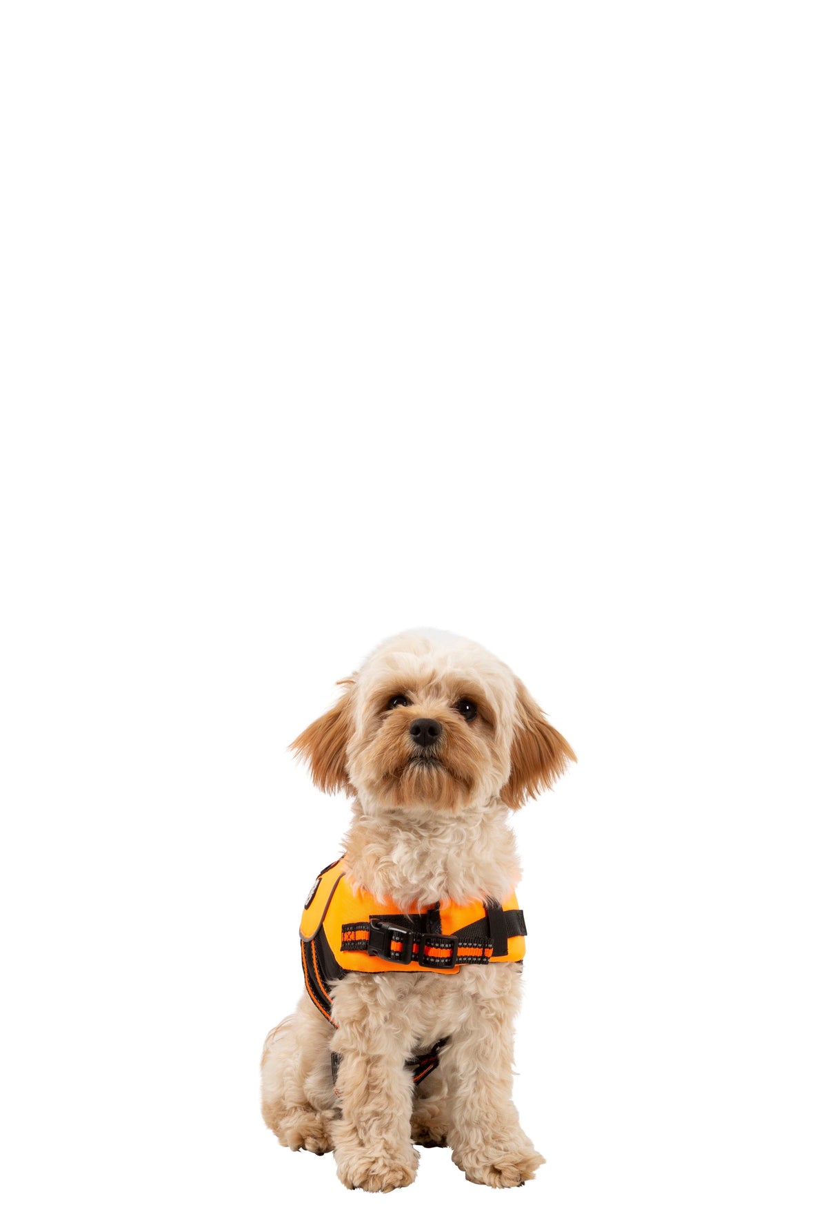 Surfdog - High Vis - Trespass