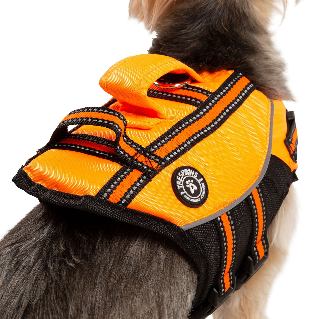 Surfdog - High Vis - Trespass