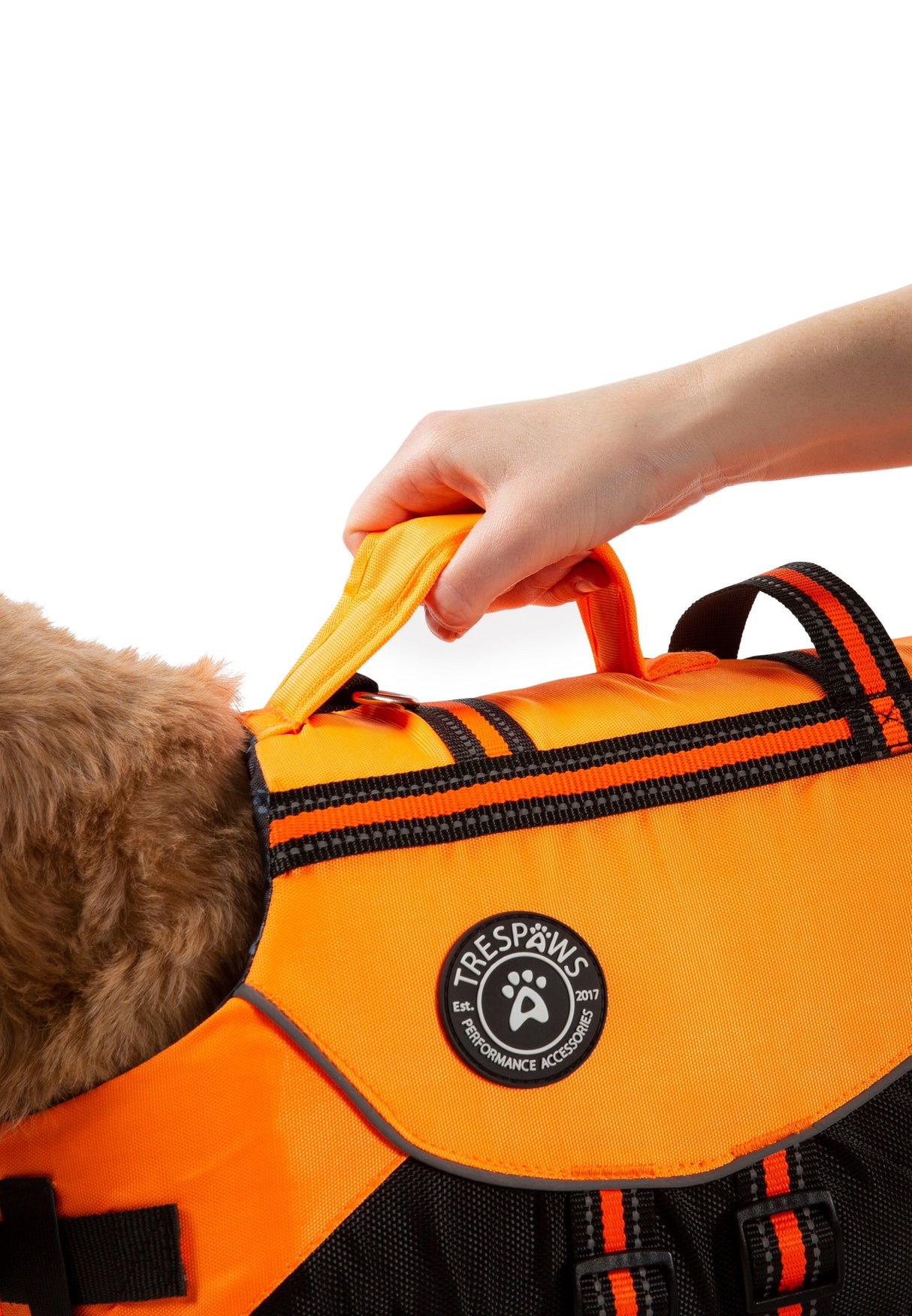 Surfdog - High Vis - Trespass