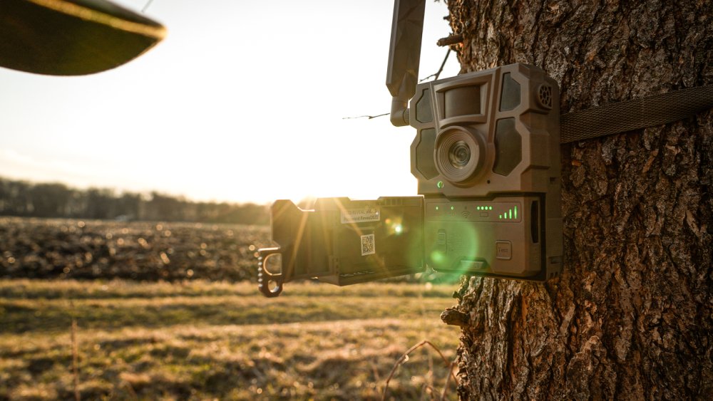 Reveal X Gen. 2.0 Viltkamera - Tactacam