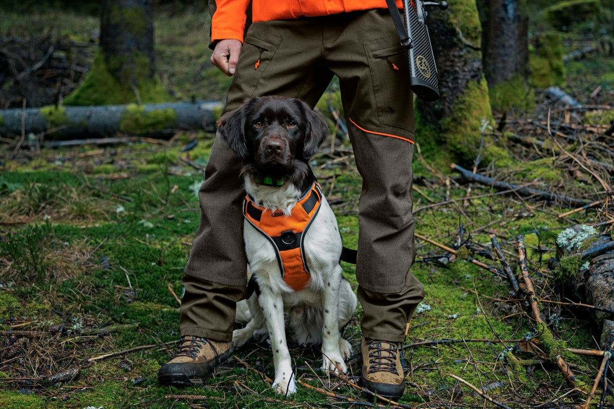 Venture byxor Pine green/Hi-Vis orange - Seeland