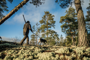 BGH Jacka Pine green – Seeland