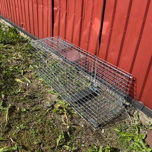 Rävfälla – HuntElite
