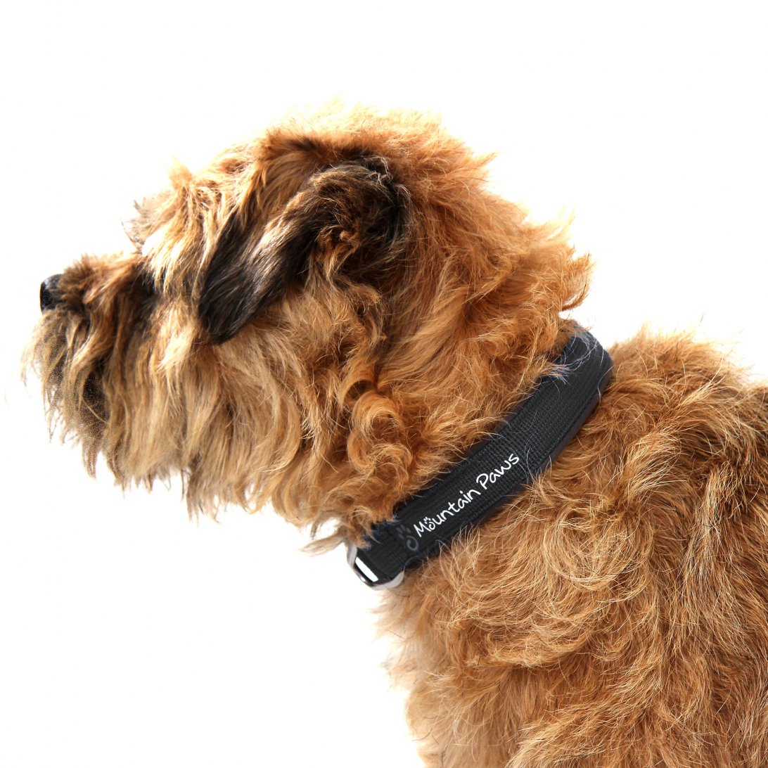 Hundhalsband, liten, svart – Mountain Paws