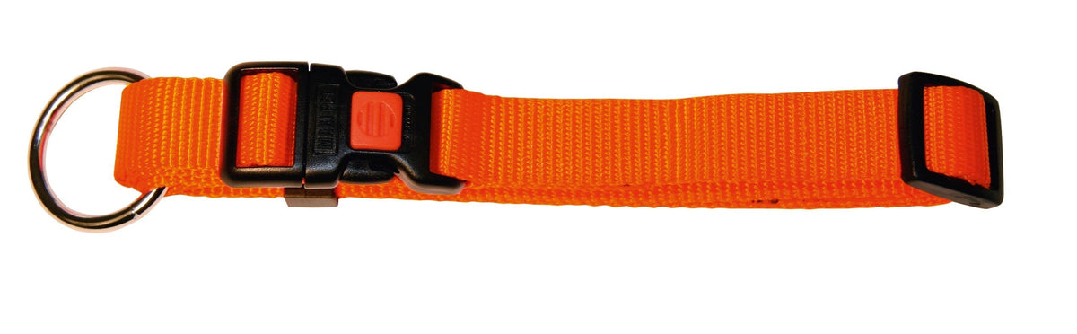 Halsband justerbart nylon – 10mm 20-35cm – Kerbl