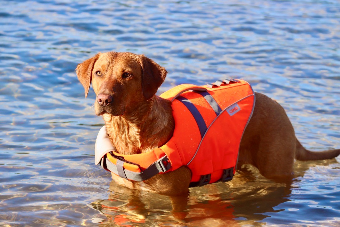 Life Jacket XS
