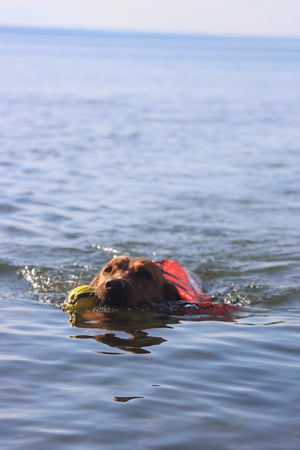 Life Jacket XS