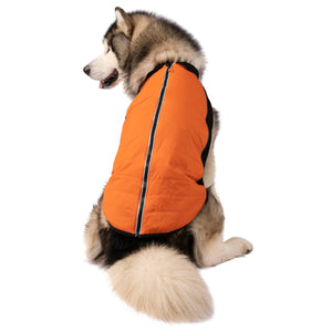 Beedle - Black/ Burnt Orange - Trespass