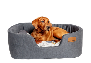Colour Block Steel Lux Slumber Bed M