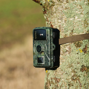 16MP Viltkamera - Senzor