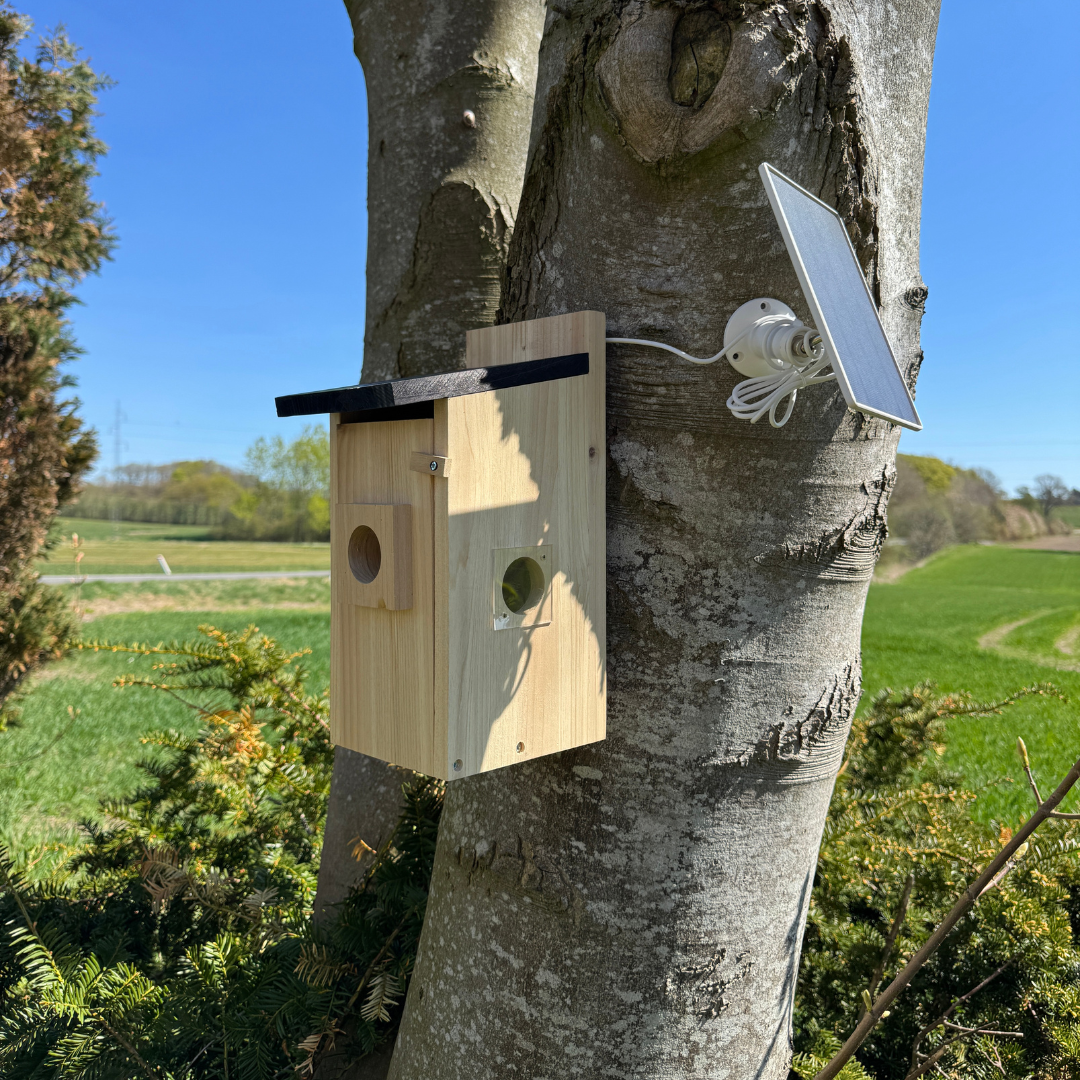 Fågelholk med kamera – HuntElite
