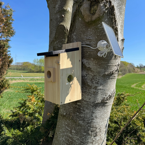 Fågelholk med kamera – HuntElite