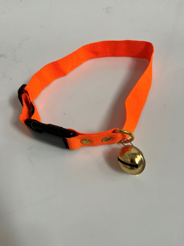 Hundhalsband med klocka
