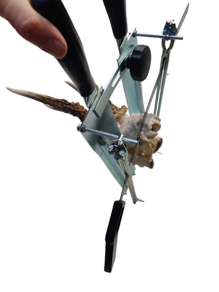 Trofésåg