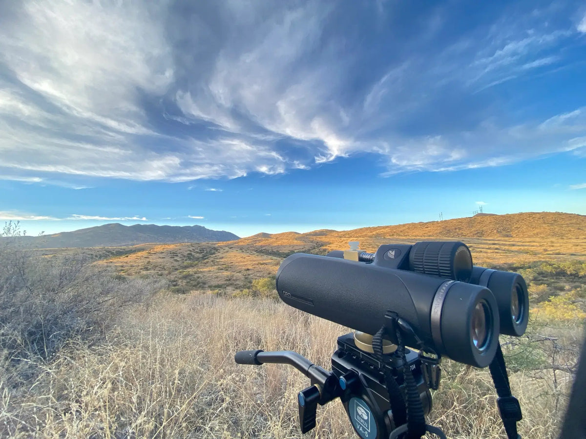 PASSION HD - 10x50 – GPO