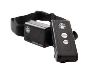No Bark Collar training Large
