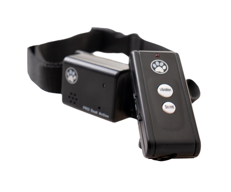 No Bark Collar training Large