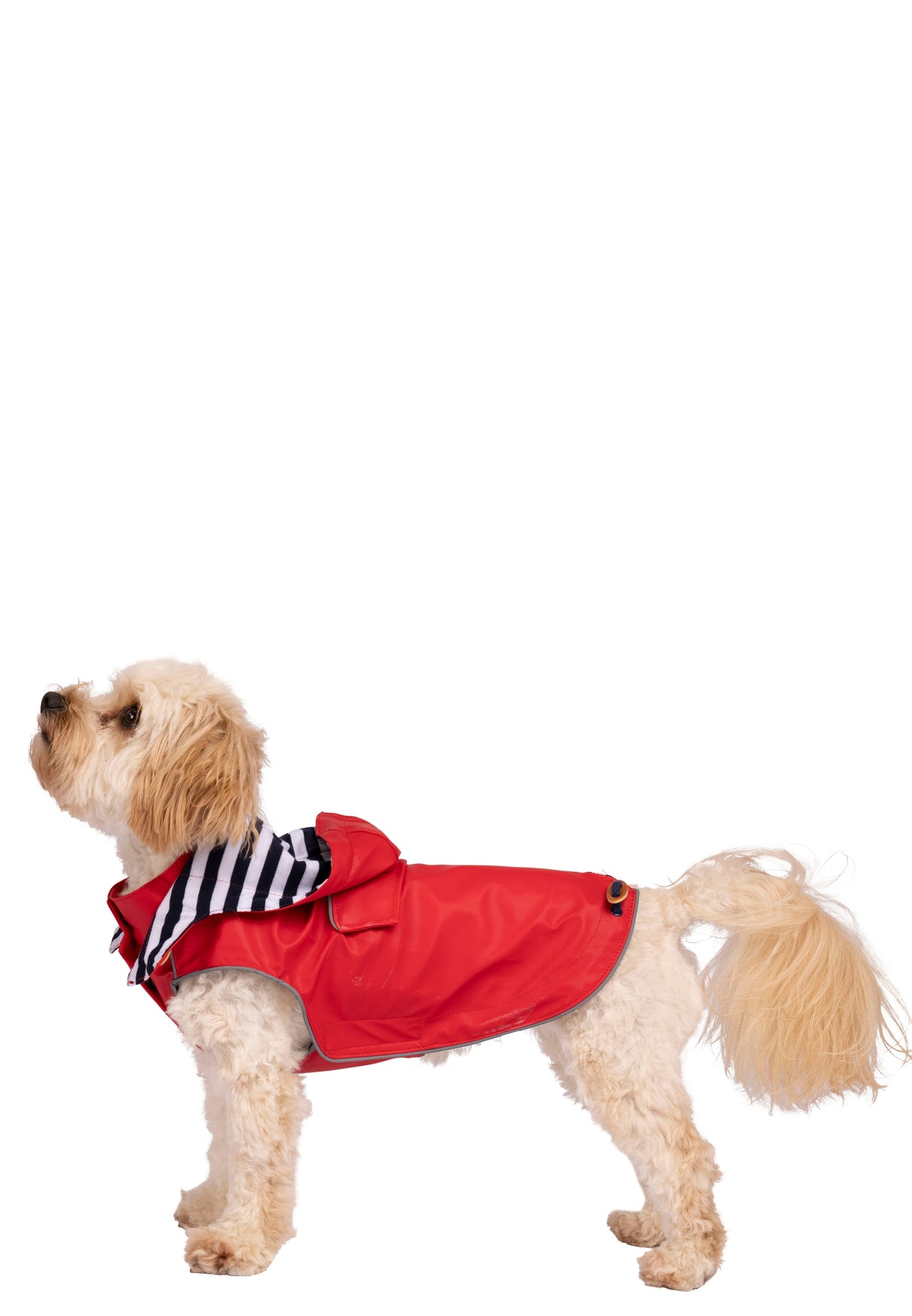 Seadog - Red - Trespass