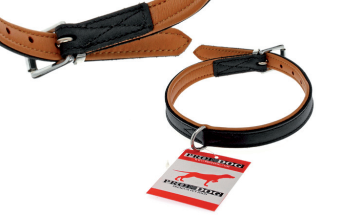 Hundhalsband London - PROF DOG