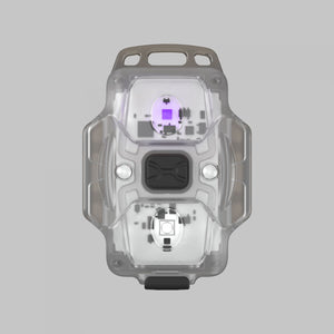 Crystal WUV Grå / Vit & Ultraviolett / 150 lm & 325 mW (365 nm) / pannband / snodd / inbyggt Li-Pol batteri - Armytek