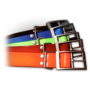 1" halsbåndsrem, firkantet spænde (orange) 2