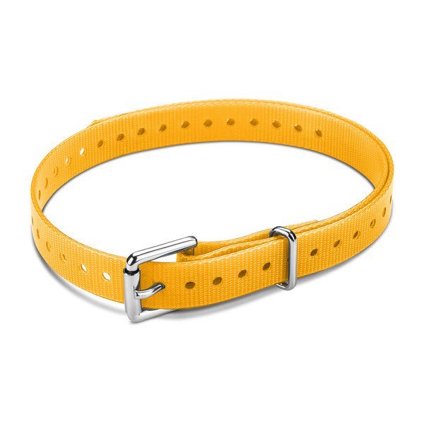 1" halsbåndsrem, firkantet spænde, small (orange) 3