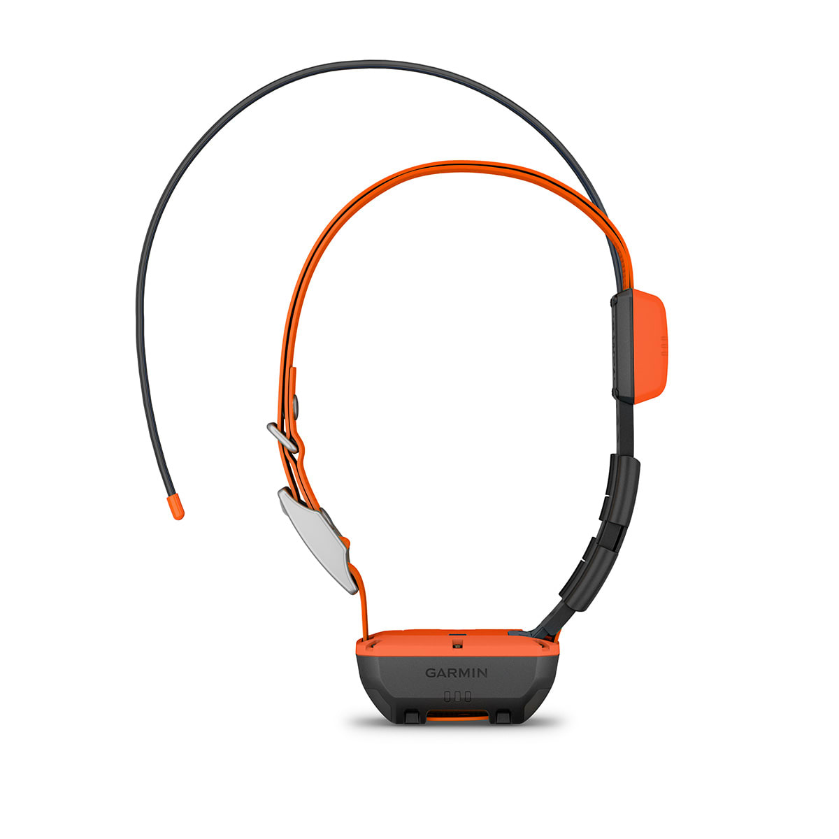 T20 hundhalsband - Garmin