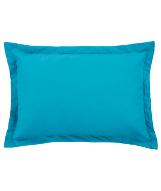 Snoozefest - Bluebottle - Trespass