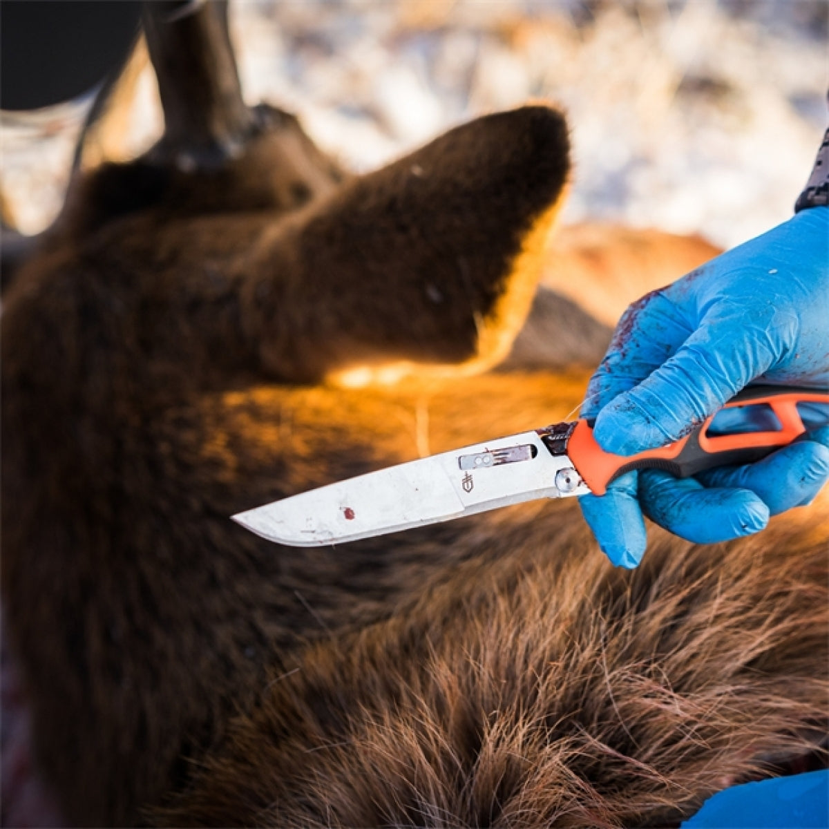 Randy Newberg Fastbladig kniv EBS - Gerber