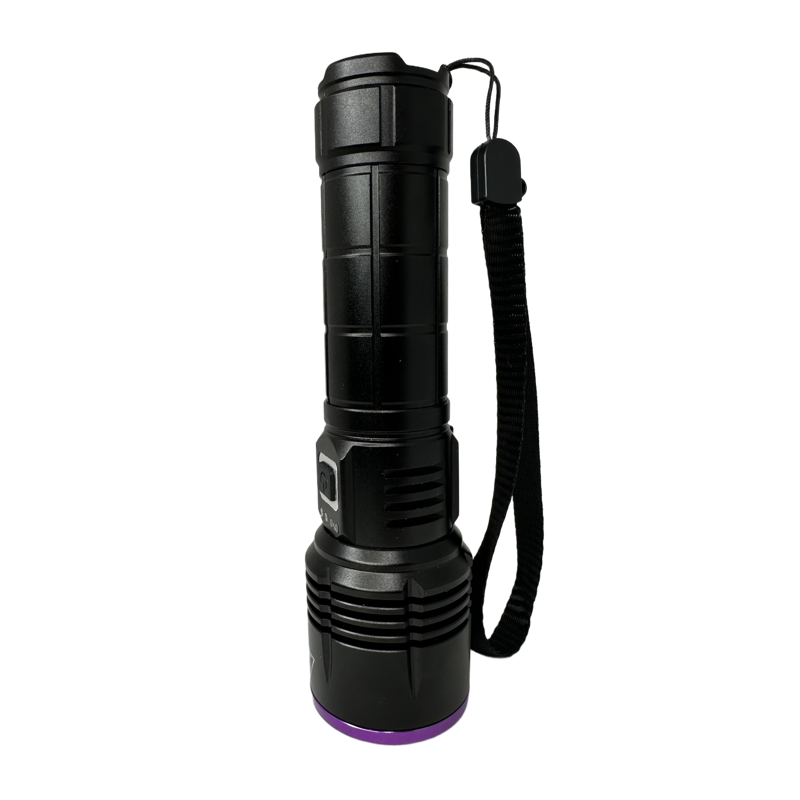 Globuz Eclipse 20W UV 365nm med Blacklight-filter