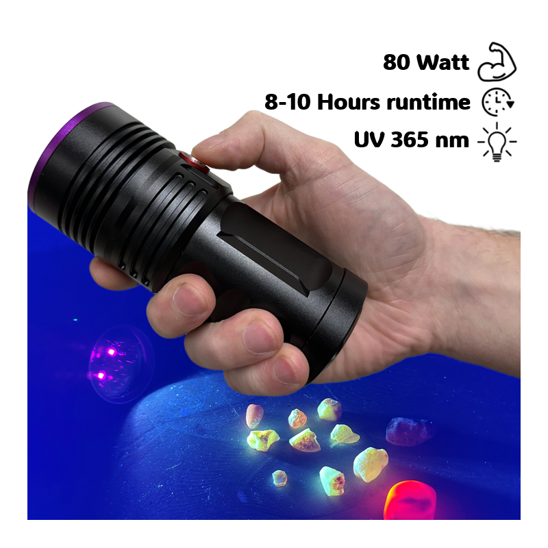 Globuz Eclipse PRO 80W UV 365nm med Blacklight-filter