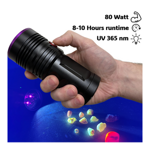 Globuz Eclipse PRO 80W UV 365nm med Blacklight-filter