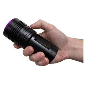Globuz Eclipse PRO 80W UV 365nm med Blacklight-filter
